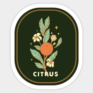 citrus Sticker